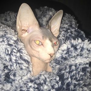 Meet your Posher, Madeline